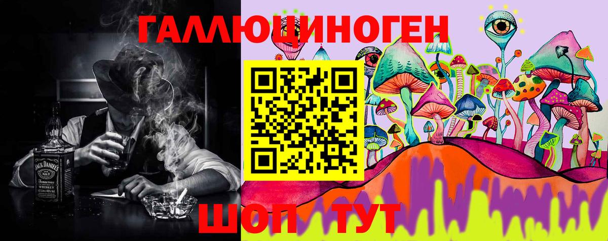 Псилоцибиновые грибы GOLDEN TEACHER Северобайкальск