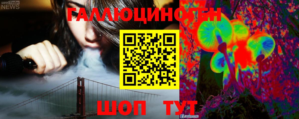 Псилоцибиновые грибы Psilocybe  Вход с VPN  Северобайкальск 